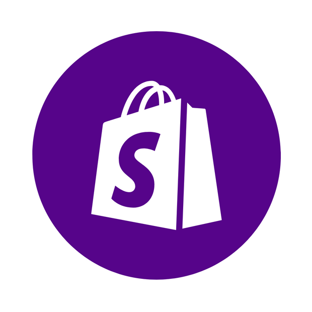 Shopify website developer for business oweners