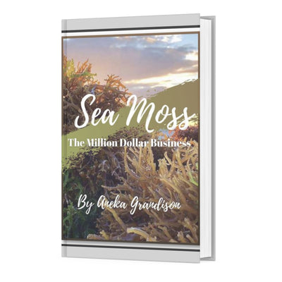 Sea Moss Business eBook